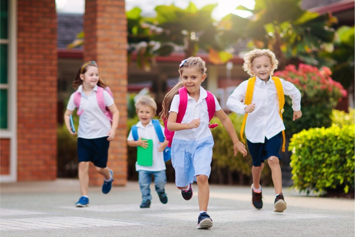 servicii de monitorizare si interventie